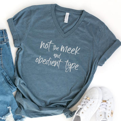 Not The Meek And Obedient Type Vneck Tshirt (Vintage Design)-2XL-Slate Blue-Painted Lavender